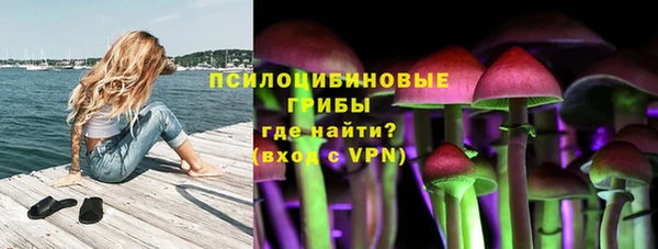марихуана Новокубанск