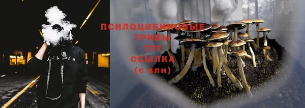 скорость mdpv Нея