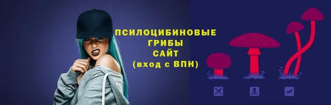 мет Новозыбков