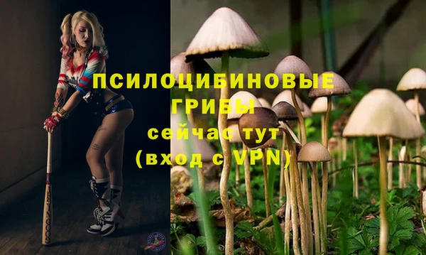 соль ск Нефтегорск