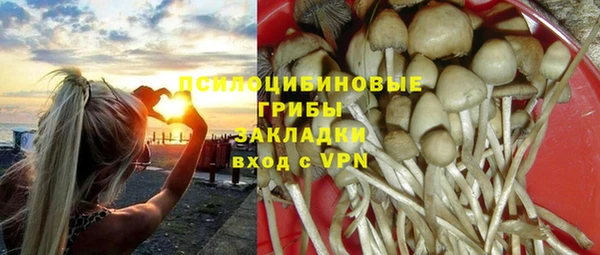 ешки Нефтекумск