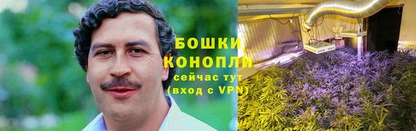 мет Новозыбков