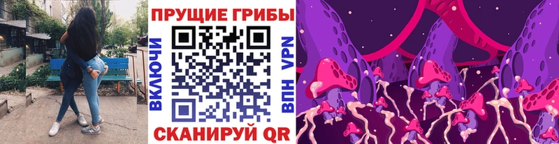 hydra сайт  Никольск  Псилоцибиновые грибы мицелий 
